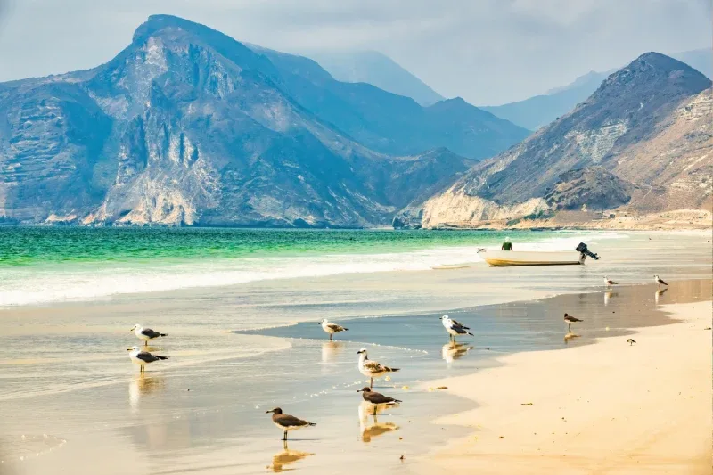 Spiaggia di Mughsail: Blowholes e Grotta a Salalah