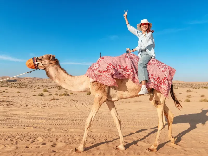 un giro in cammello nel deserto di Dubai