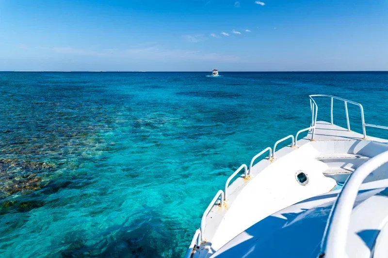 Viaggiare Nel Mondo