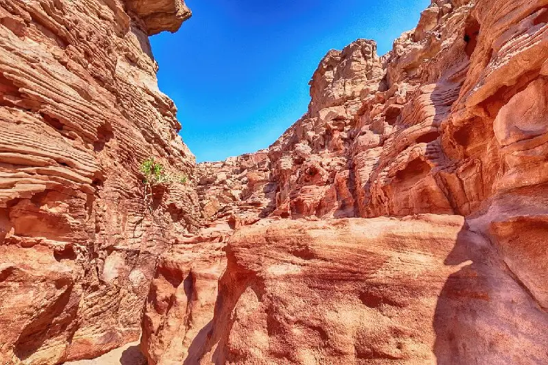 Paisaje rocoso del Monte Sinaí en Egipto