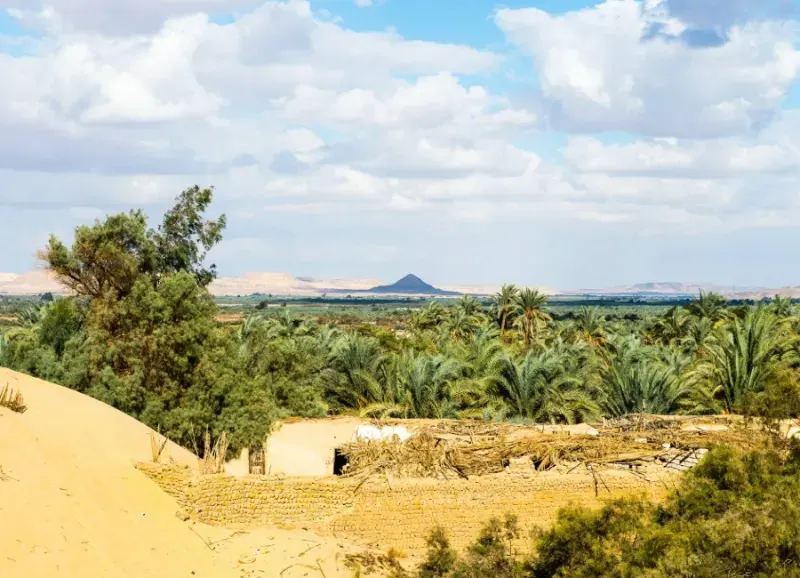 Oasi di Bahariya