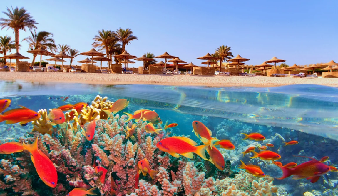 arrecifes de coral en Marsa Alam