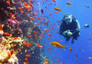Snorkeling a Sharm El Naga Bay a Hurghada