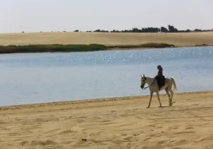 Escursione Oasi del Fayoum, una donna al deserto egizio