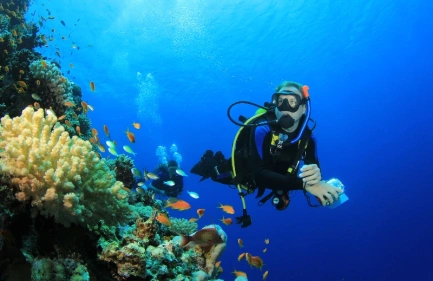 Escursione di immersione, Un uomo ed una tartaruga sotto il mare