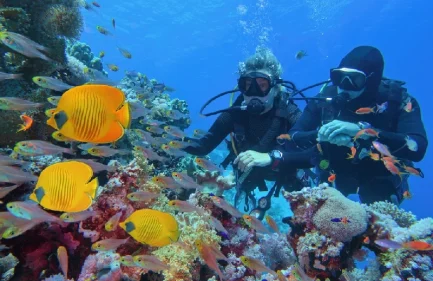 Esursione Semi Sottomarino Hurgada, due persone che fanno lo snorkeling