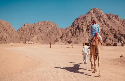 Tour di Motorata e Cammellata e Cena Beduina a Sharm, una persona a dorso di un cammello al deserto
