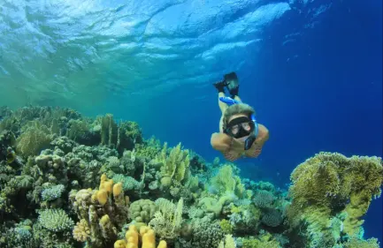 Snorkeling all'isola di Hamata da Marsa Alam