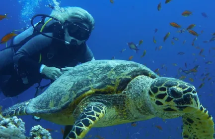 Snorkeling all'isola di Hamata da Marsa Alam