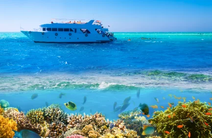 Snorkeling all'isola di Hamata da Marsa Alam