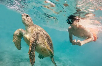un uomo fa immersione, egitto piramidi e mare