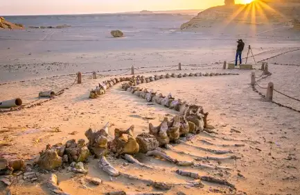 Wadi Hitan, viaggi in egitto offerte