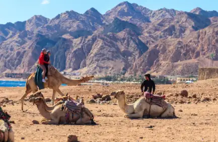 Sharm Elshiekh, tour egitto e petra