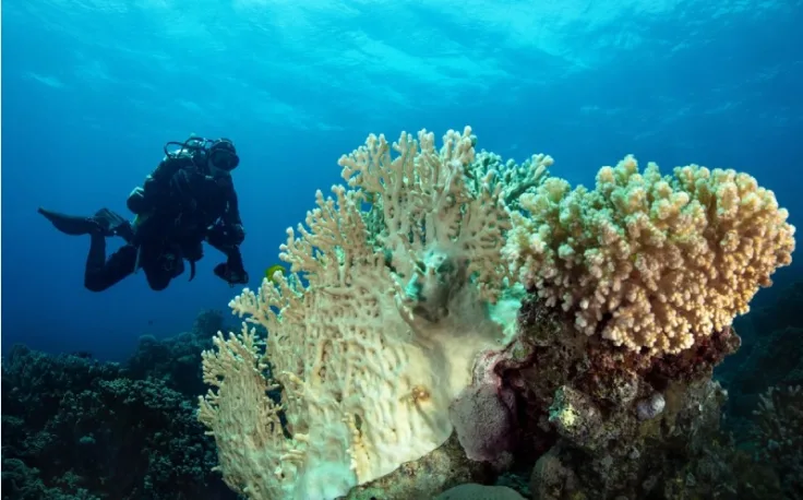 Mar Rosso località più belle, Makadi Bay