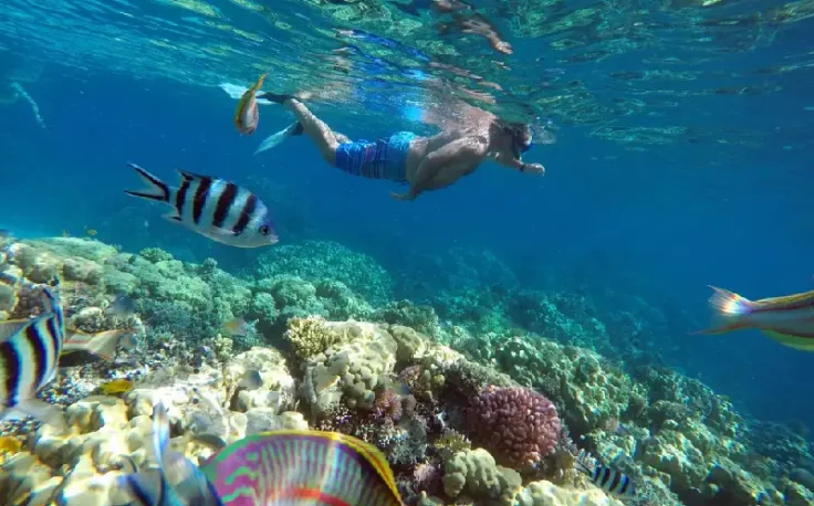 Hurghada cosa vedere, un uomo fare snorkeling