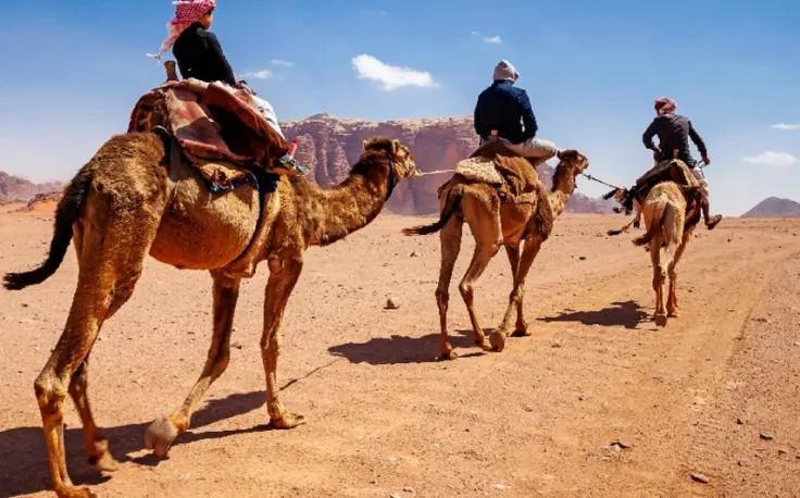 Giordania cosa visitare, Due cammelli al deserto