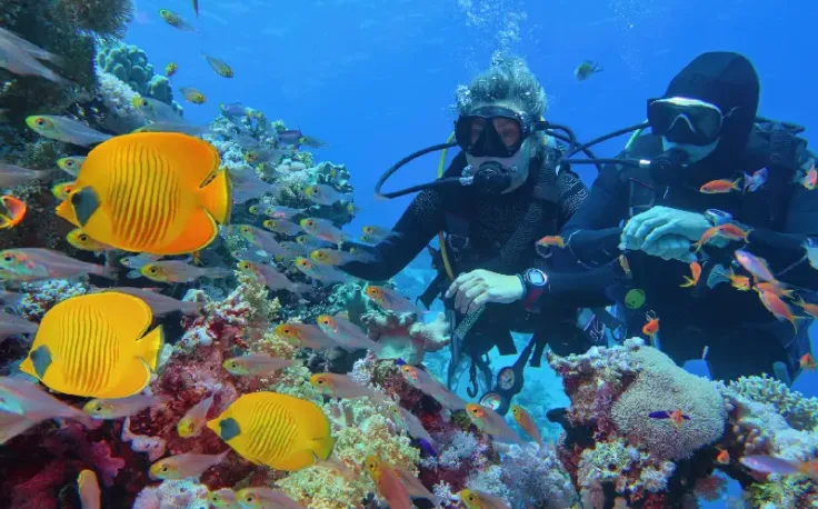 immersione a sharm el shiekh, hurghada  o sharm