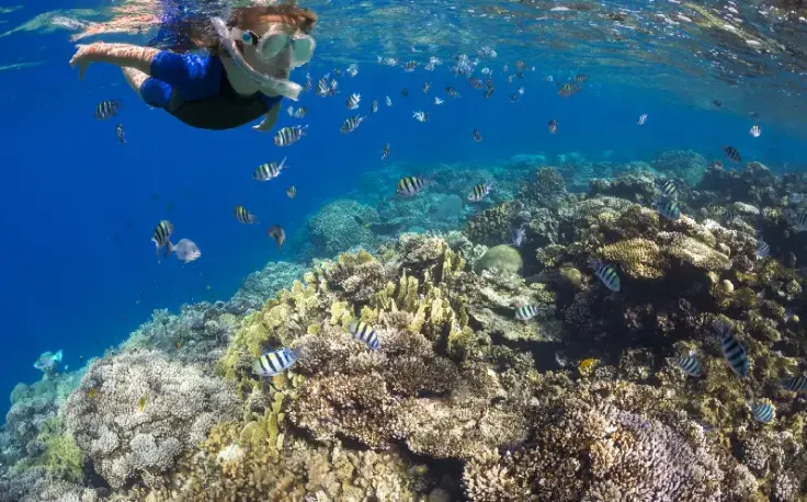 Un ragazzo a marsa alam fa immersioni