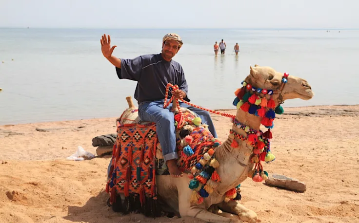 sicurezza a sharm el sheikh, un uomo cavalca un cammello