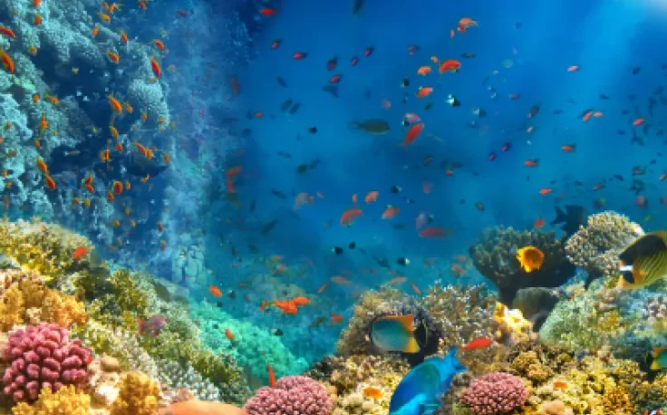 Mar Rosso Nuweiba