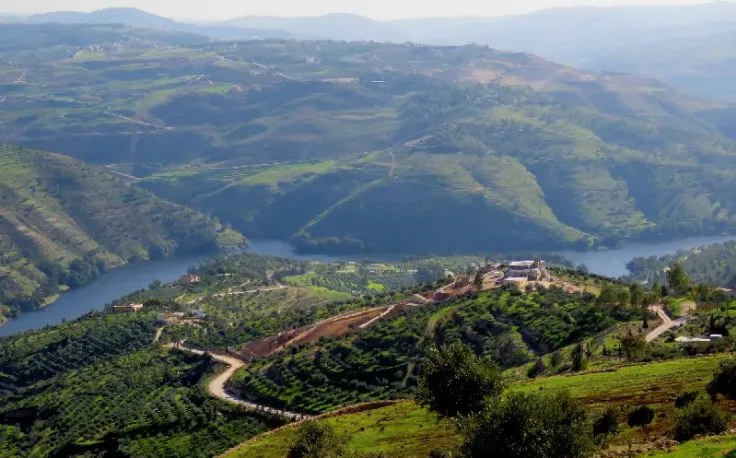 foresta naturale di ajloun , ajloun