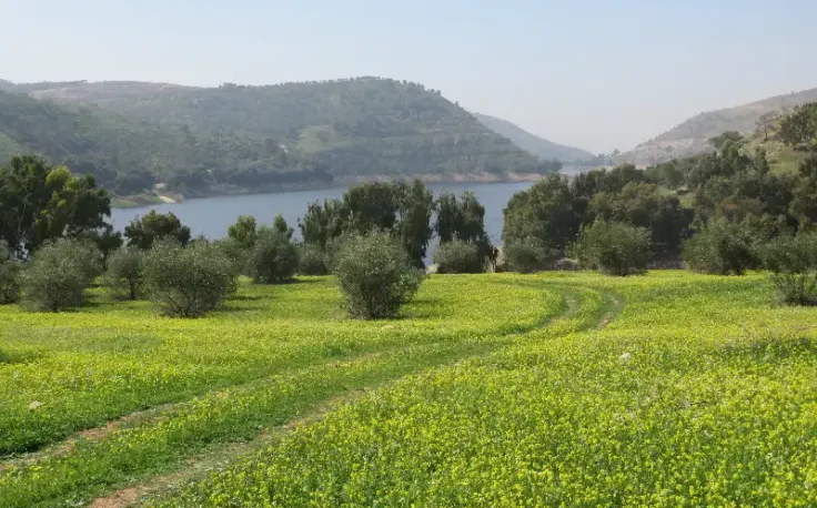 ajloun reserva naturale, Ajloun