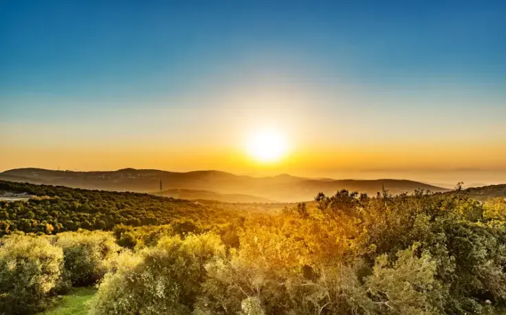 la natura ad Ajloun , Ajloun