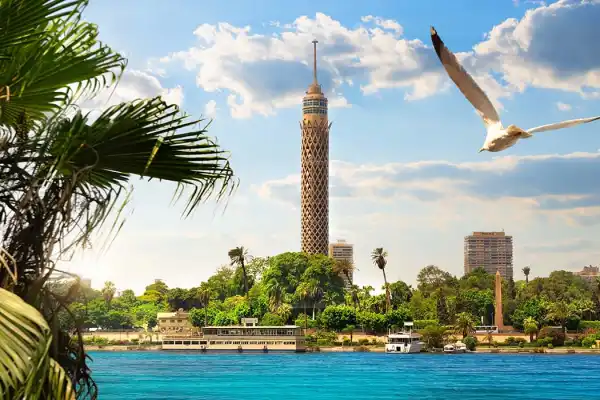 la Torre del Cairo