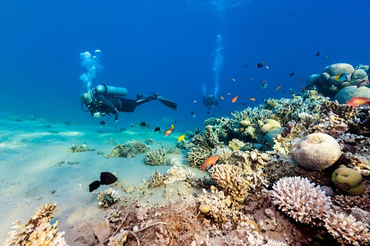 Immersioni mar rosso, un uomo fa immersioni a sharm