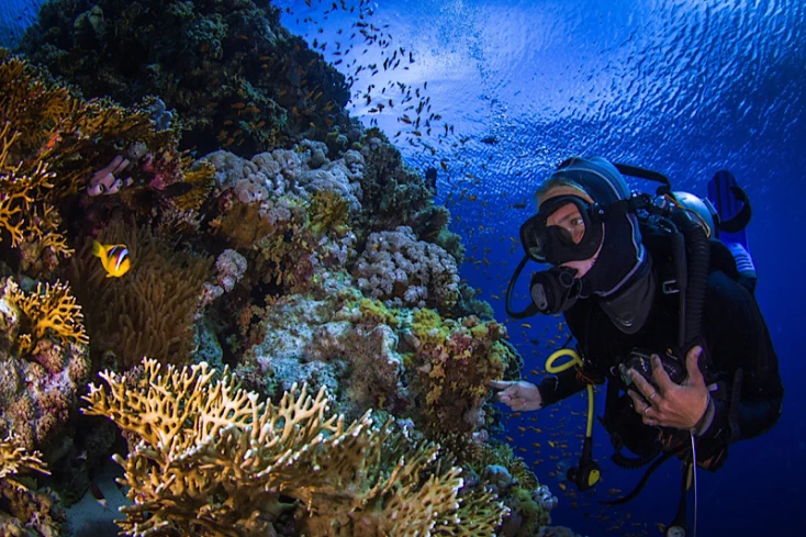 immersioni mar rosso, immersioni a hurghada immersioni mar rosso