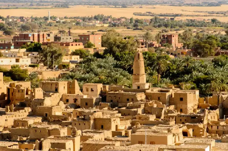 L'oasi di Dakhla, oasi egitto