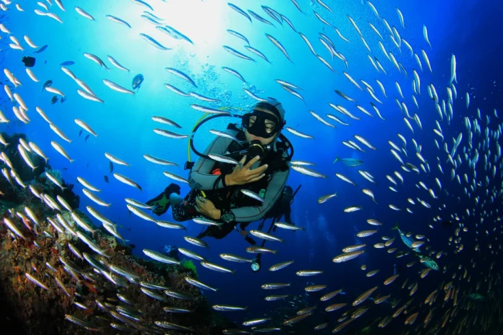 un uomo fa immersione a sharm, temperature in Egitto a capodanno