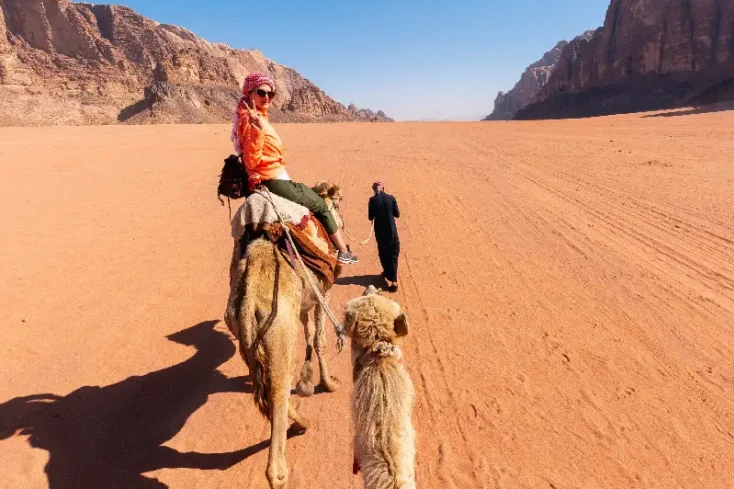 Giordania cosa sapere, due cammelli al deserto