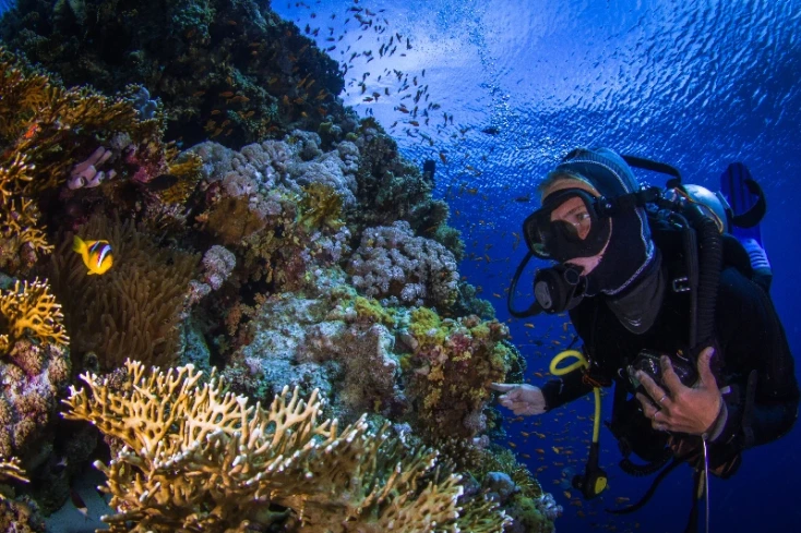 Egitto gennaio temperature, Una persona che fa il diving in profondità nel mare