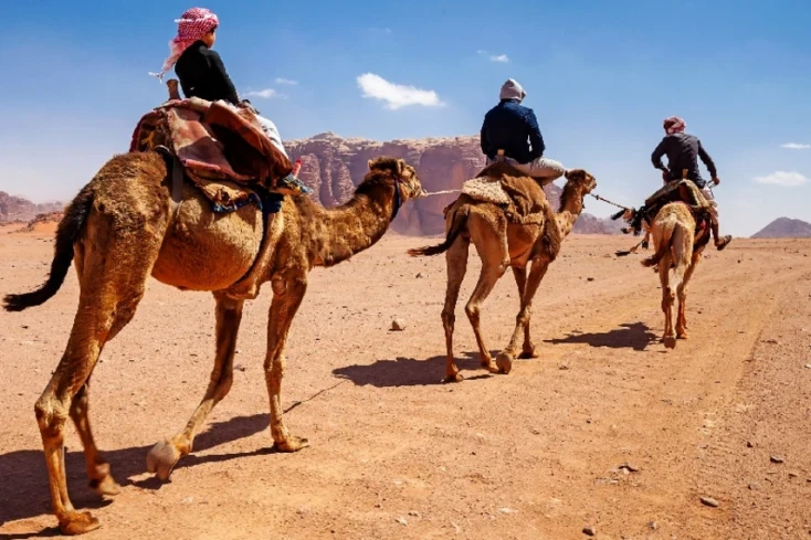 Giordania cosa visitare, Due cammelli al deserto