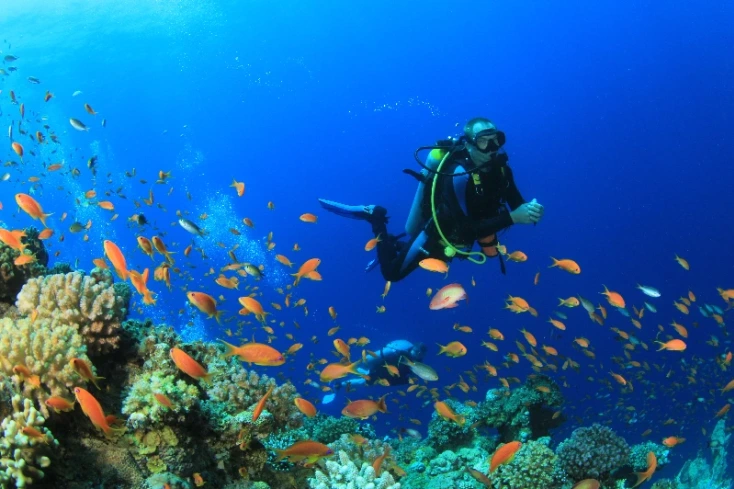 blue hole, il mare di sharm el sheikh