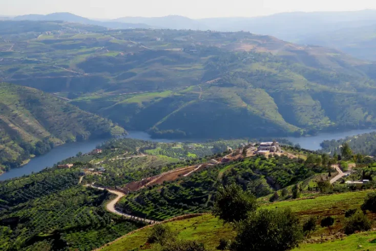 foresta naturale di ajloun , ajloun