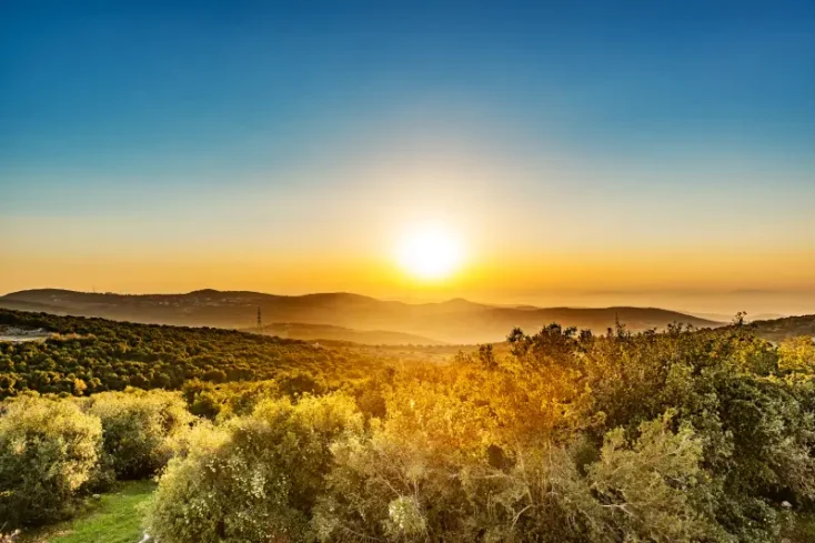 la natura ad Ajloun , Ajloun