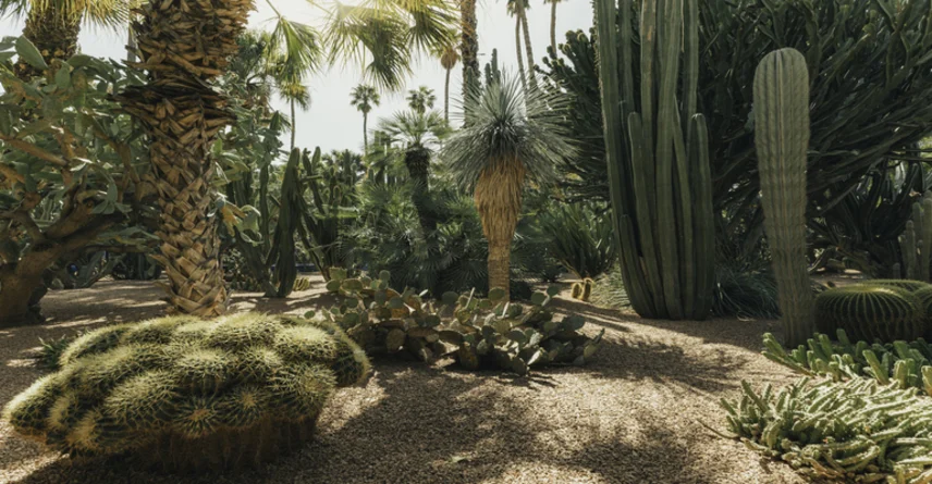 Jardín Majorelle Marruecos