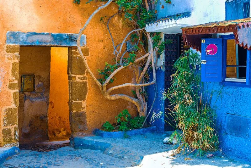 Wiki of Rabat Wiki of Rabat