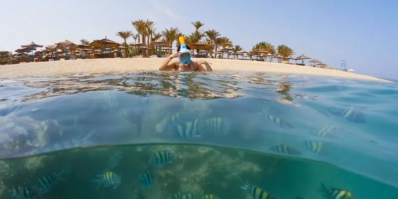 Al Quseir and Marsa Alam Diving Al Quseir and Marsa Alam Diving