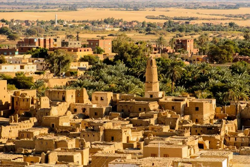 Dakhla Oasis Egypt Dakhla Oasis Egypt