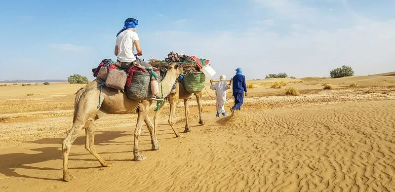 M.Hamid Desert M.Hamid Desert
