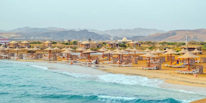 Al Quseir and Marsa Alam Diving Al Quseir and Marsa Alam Diving