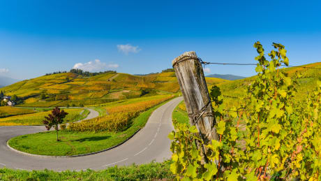 Alsace Eguisheim