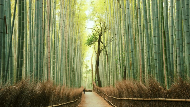 Kyoto