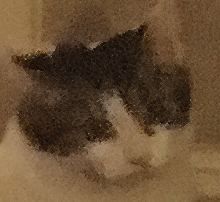 Restore Image Testing