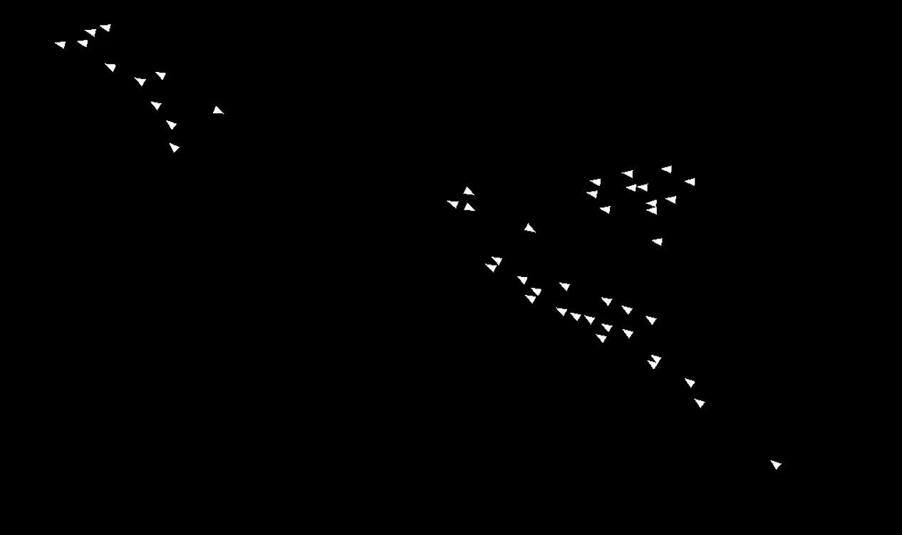 Boids Simulation