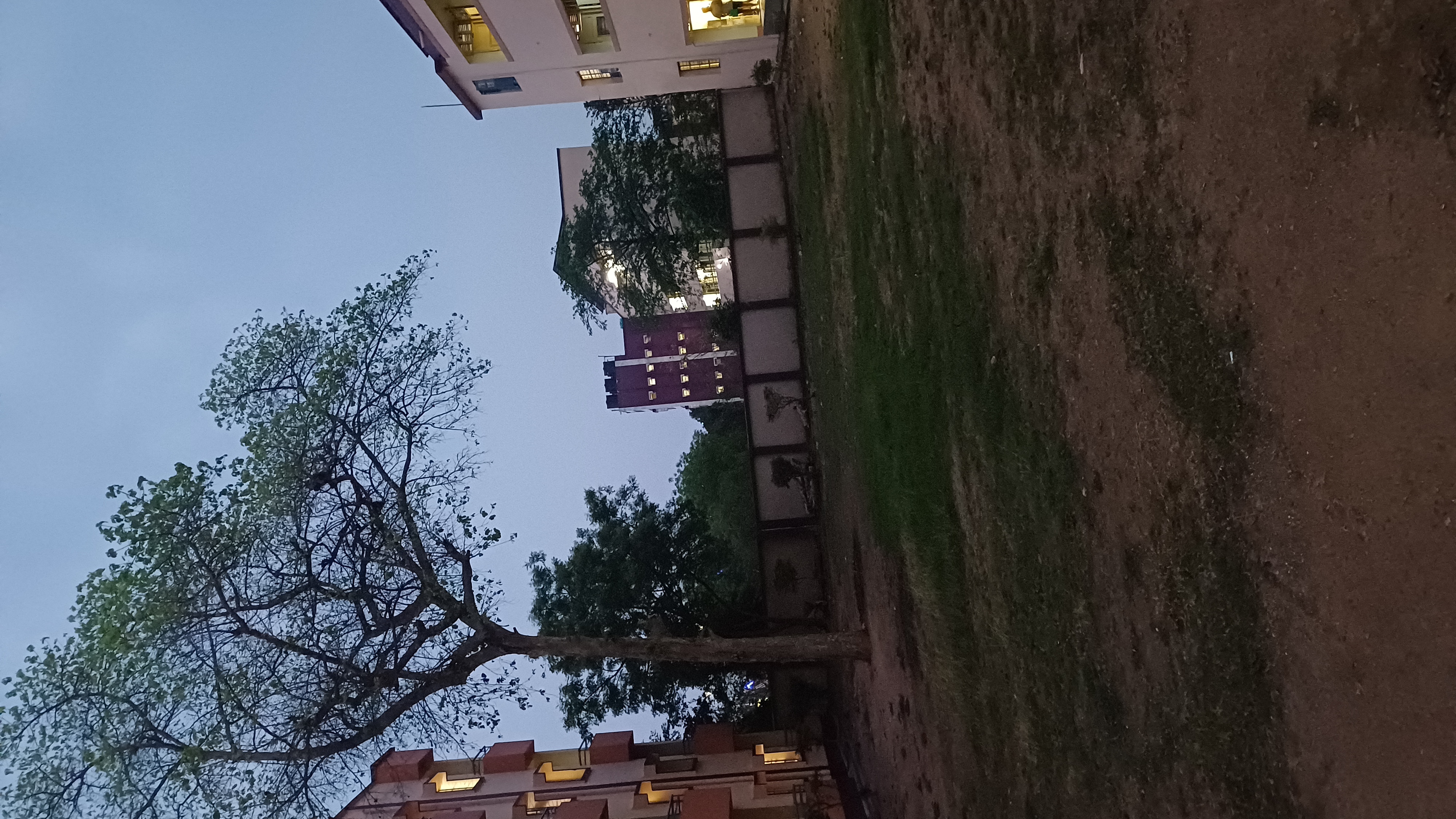 Neelabh Priyam Jha
