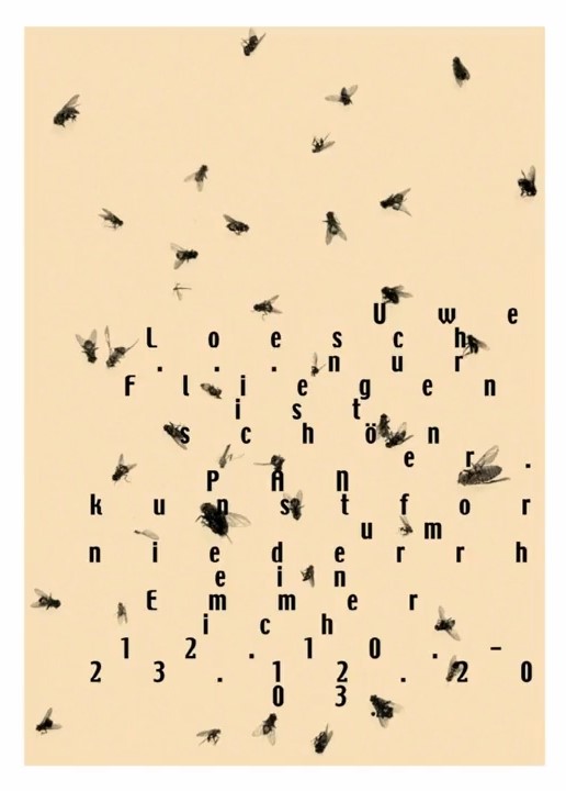 flies and letters typographic design